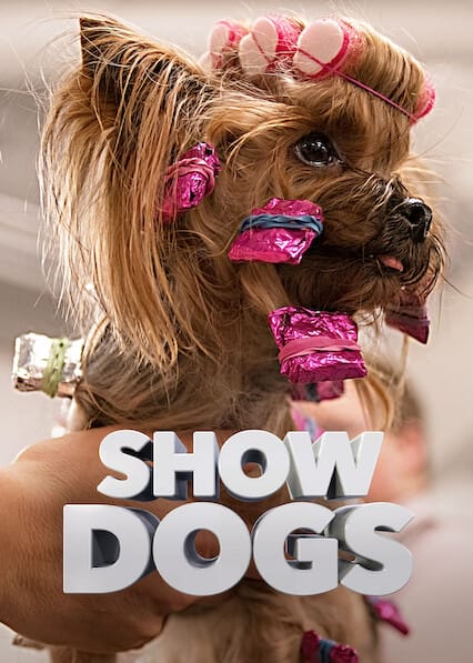 Show Dogs