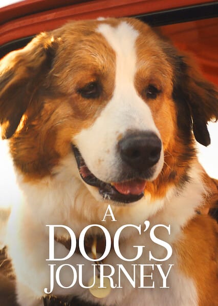 A Dog’s Journey