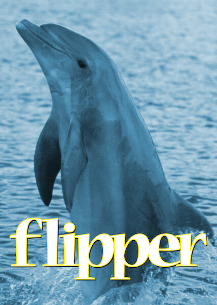 Flipper