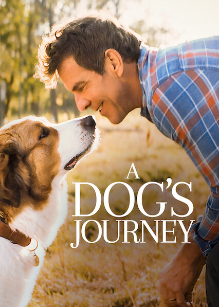 A Dog’s Journey