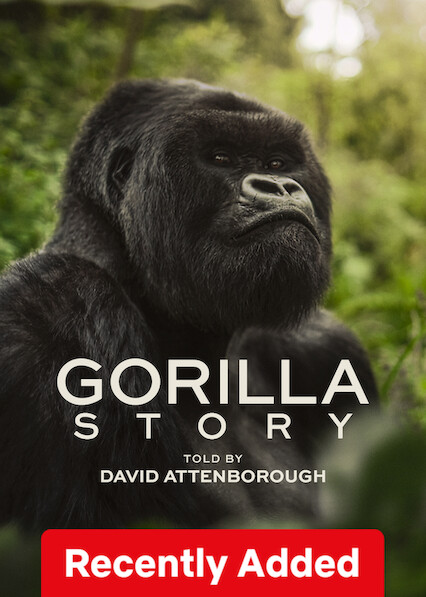 A Gorilla Story: Told by David Attenborough