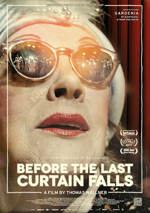Before the Last Curtain Falls movie poster