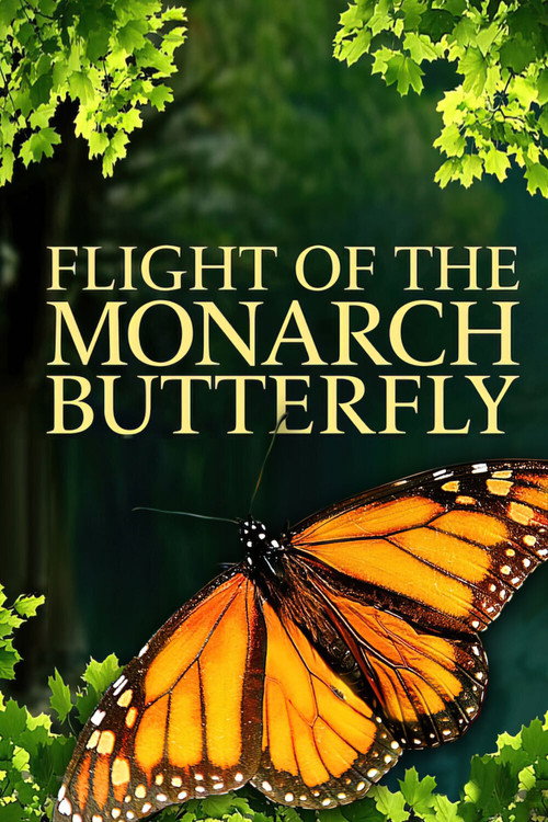 Flight of the Monarch Butterfly movie poster