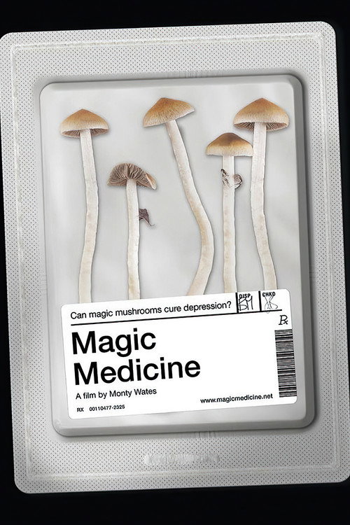 Magic Medicine movie poster