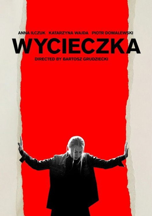 Wall movie poster