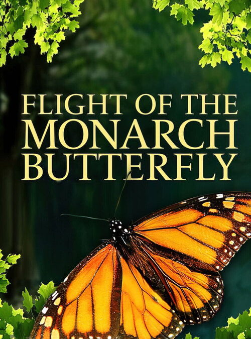 Flight of the Monarch Butterfly
