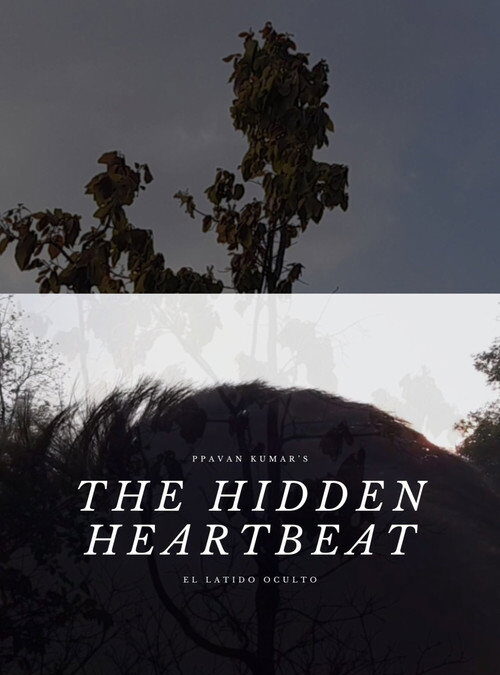 THE HIDDEN HEARTBEAT