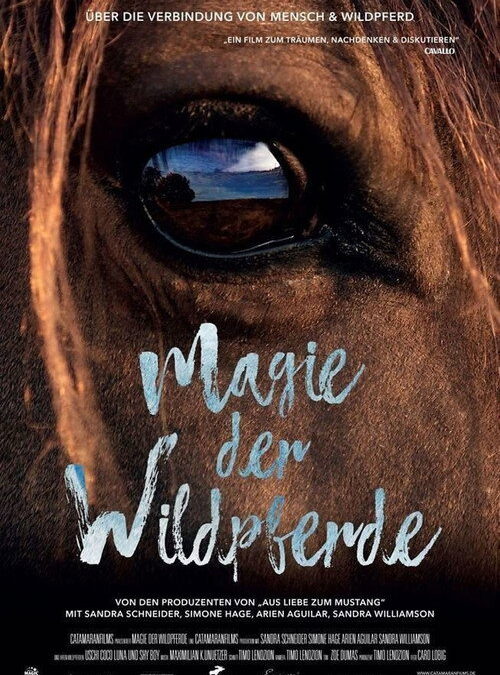 Magic of the Wild Horses