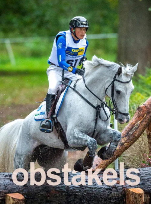 Obstacles