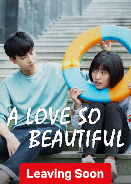 A Love So Beautiful (Zhi Wo Men Dan Chun De Xiao Mei Hao)