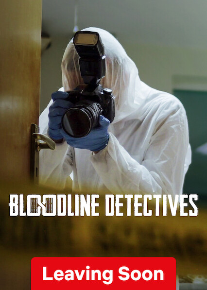 Bloodline Detectives movie poster