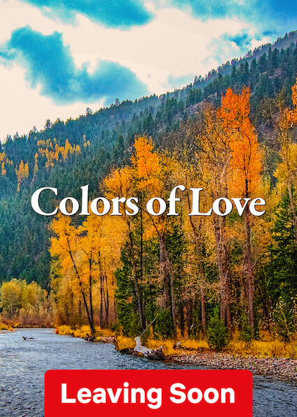 The Colors of Love movie poster